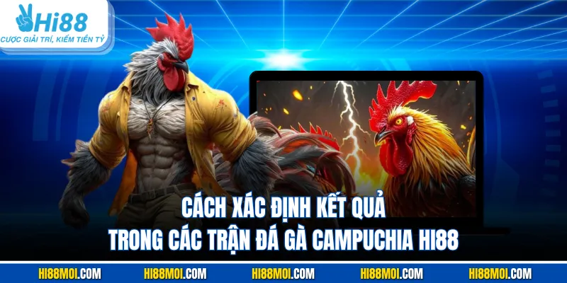 Cách xác định kết quả trong các trận đá gà Campuchia Hi88