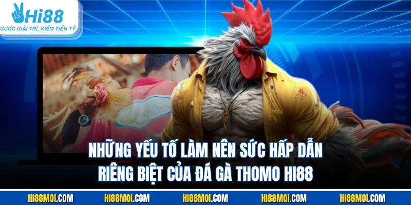 Những yếu tố làm nên sức hấp dẫn riêng biệt của đá gà Thomo Hi88