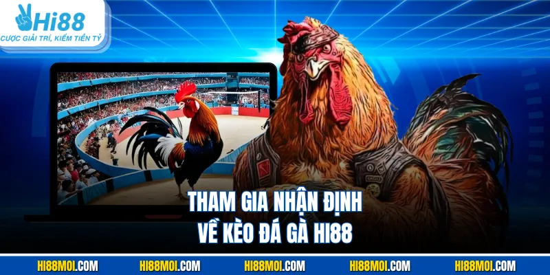 Tham gia nhận định về kèo đá gà HI88